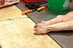 schweinefuesse Foto: Schweinefüße auf dem Metzertisch